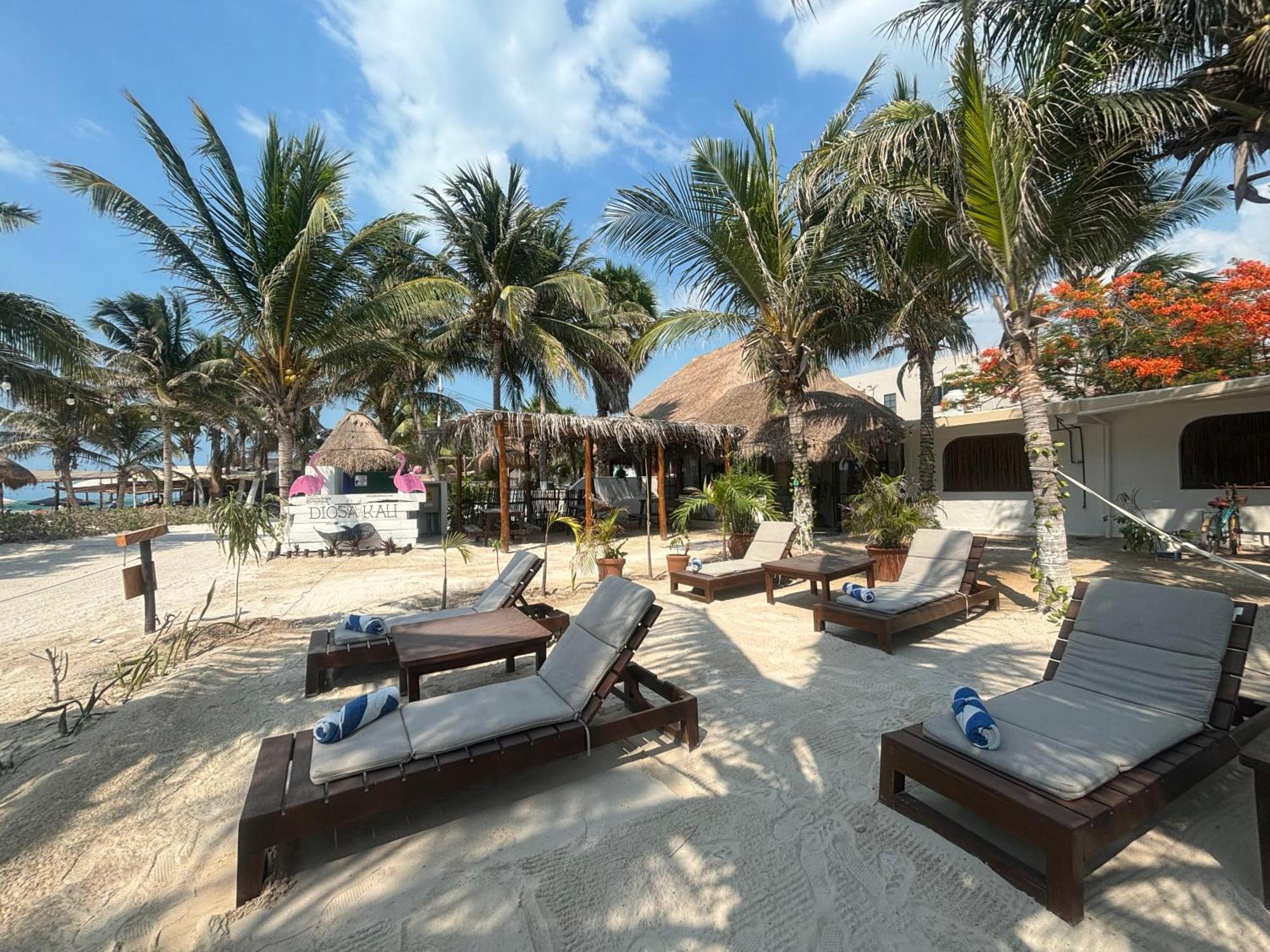 La Diosa Kali Beach Front Hotel Holbox  Eksteriør bilde