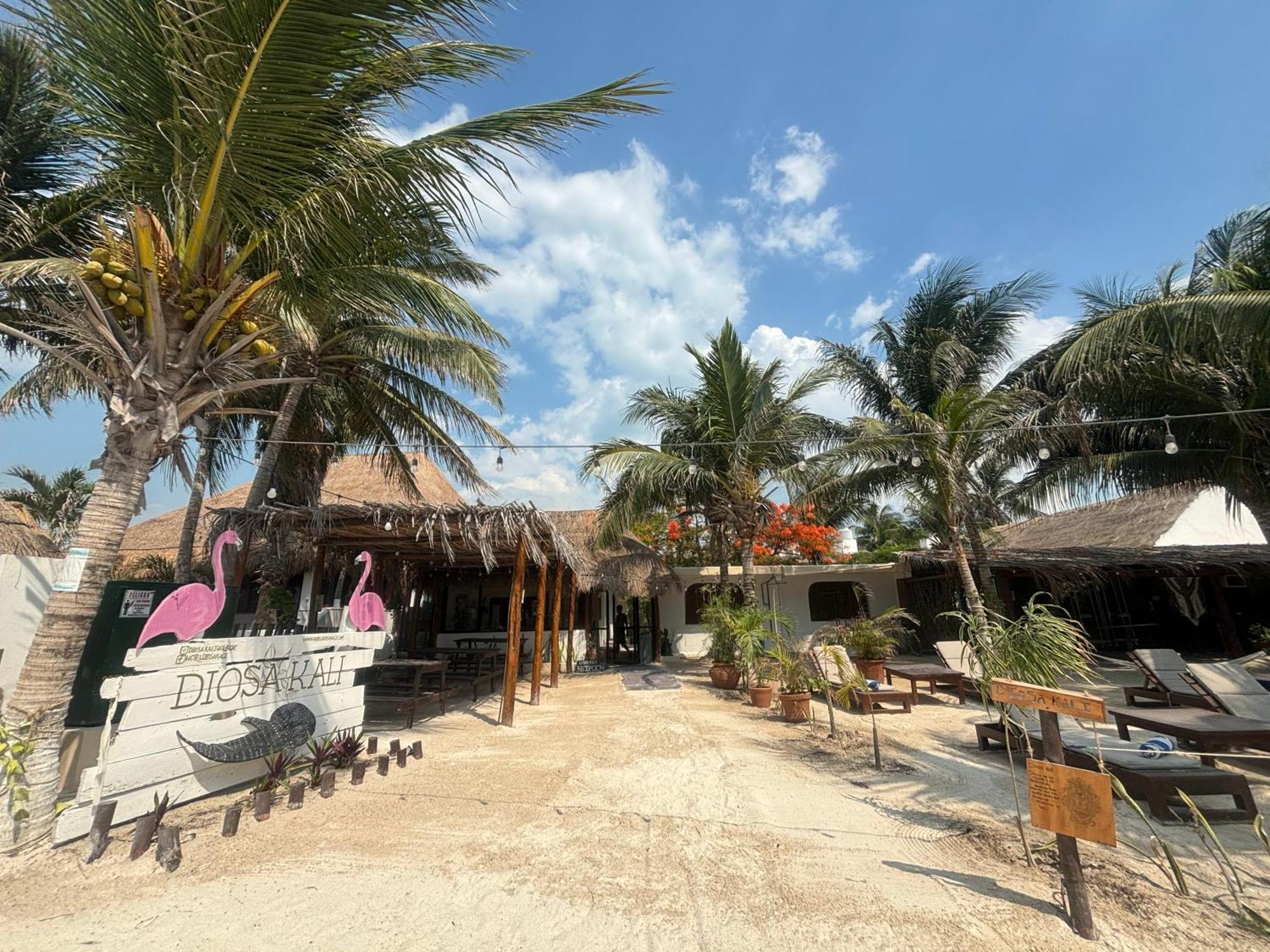 La Diosa Kali Beach Front Hotel Holbox  Eksteriør bilde