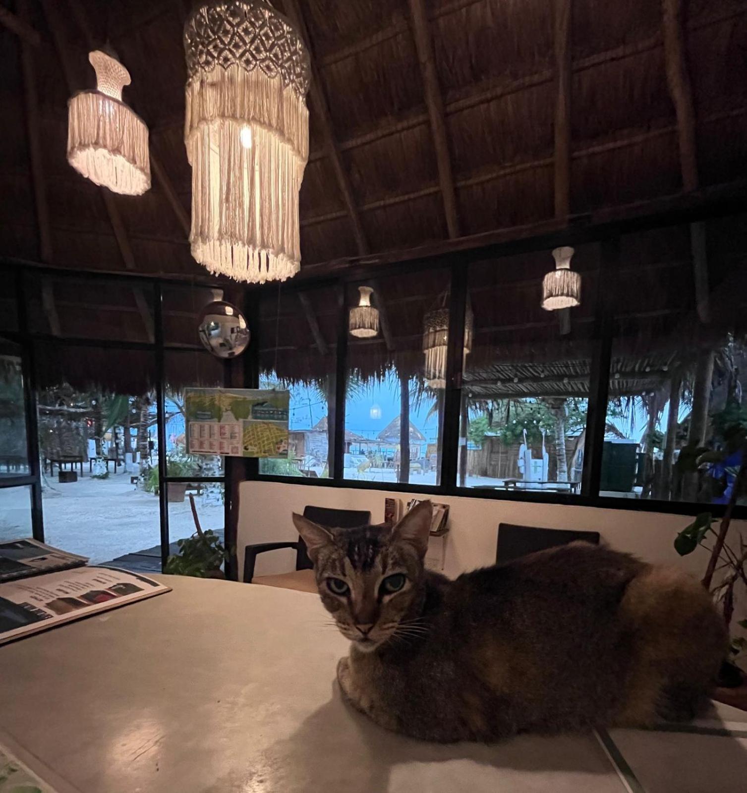 La Diosa Kali Beach Front Hotel Holbox  Eksteriør bilde
